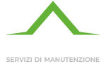 Ge.mi.ni. Multiservice Logo